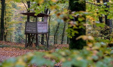 Čeke garantuju bolji ulov i precizniji hitac