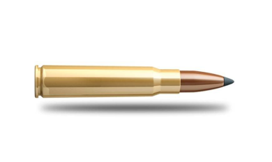 Snaga i preciznost kalibra 8x57