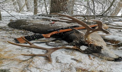 Snaga i preciznost kalibra 8x57